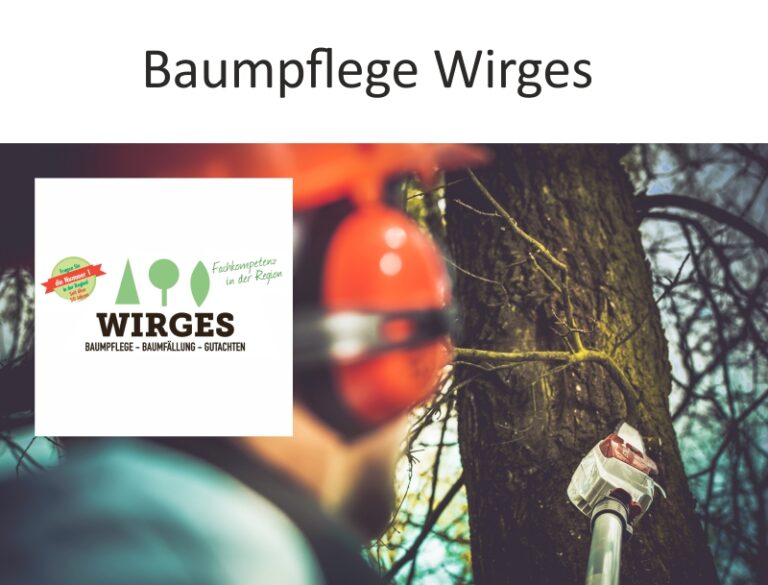 Read more about the article Baumpflege Wirges