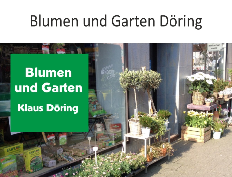 Mehr über den Artikel erfahren Blumen und Garten Klaus Döring