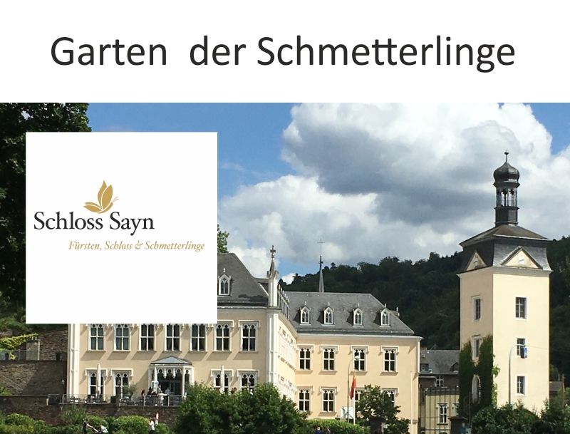 Read more about the article Fürstenschloss & Schmetterlinge